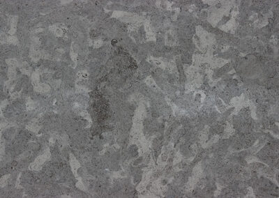 Blue Charcoal